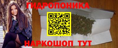 a pvp Тула