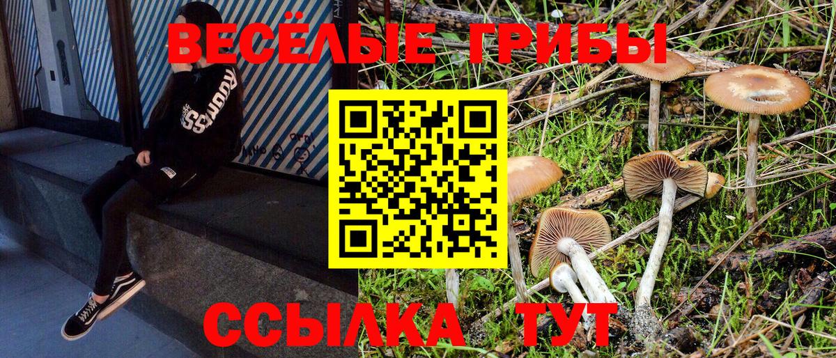 Галлюциногенные грибы GOLDEN TEACHER  Вход с VPN  Муром  Галлюциногенные грибы прущие грибы 